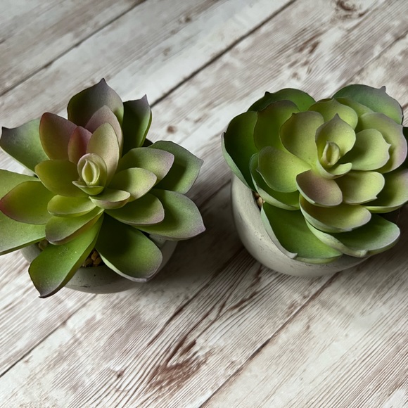 โ๐ผ๐ World Market Faux Succulent Mini Plants - Picture 2 of 14